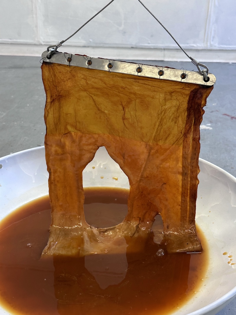 The Doctor Won't See You Now by © Eloise Gleave